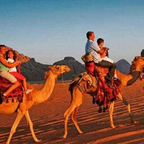 Wadi Dream Camp Camping