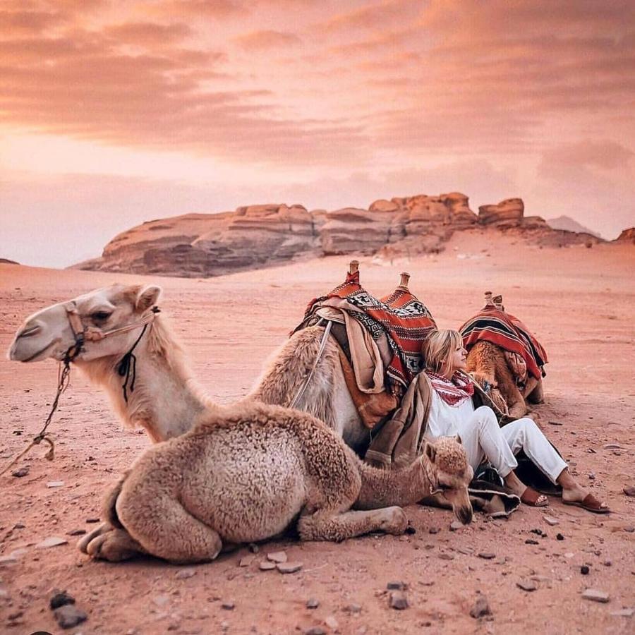 Camping Wadi Dream Camp