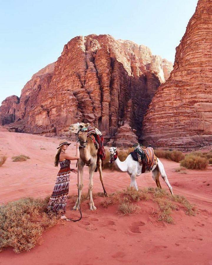 Wadi Dream Camp 2*